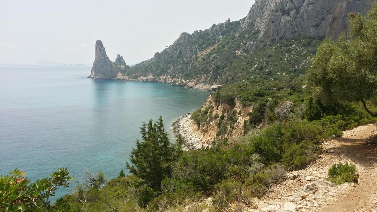 Camera Ideale Tra Mare E Montagna Baunei Exteriör bild